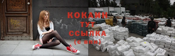 тгк Абинск