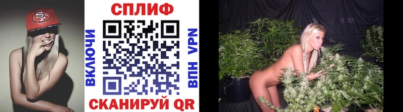 Канабис Amnesia  Агидель 